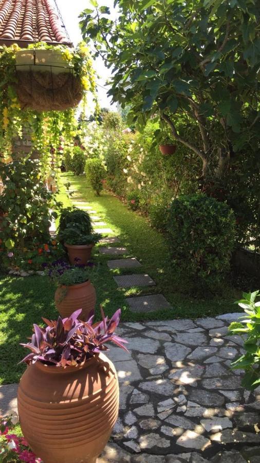 Villa Tina Country Beach Apartments Αχαράβη Εξωτερικό φωτογραφία