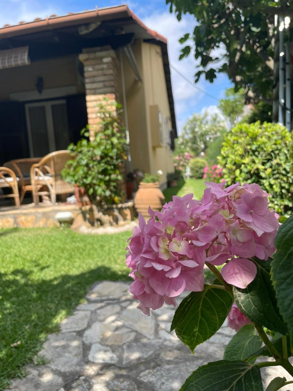 Villa Tina Country Beach Apartments Αχαράβη Δωμάτιο φωτογραφία