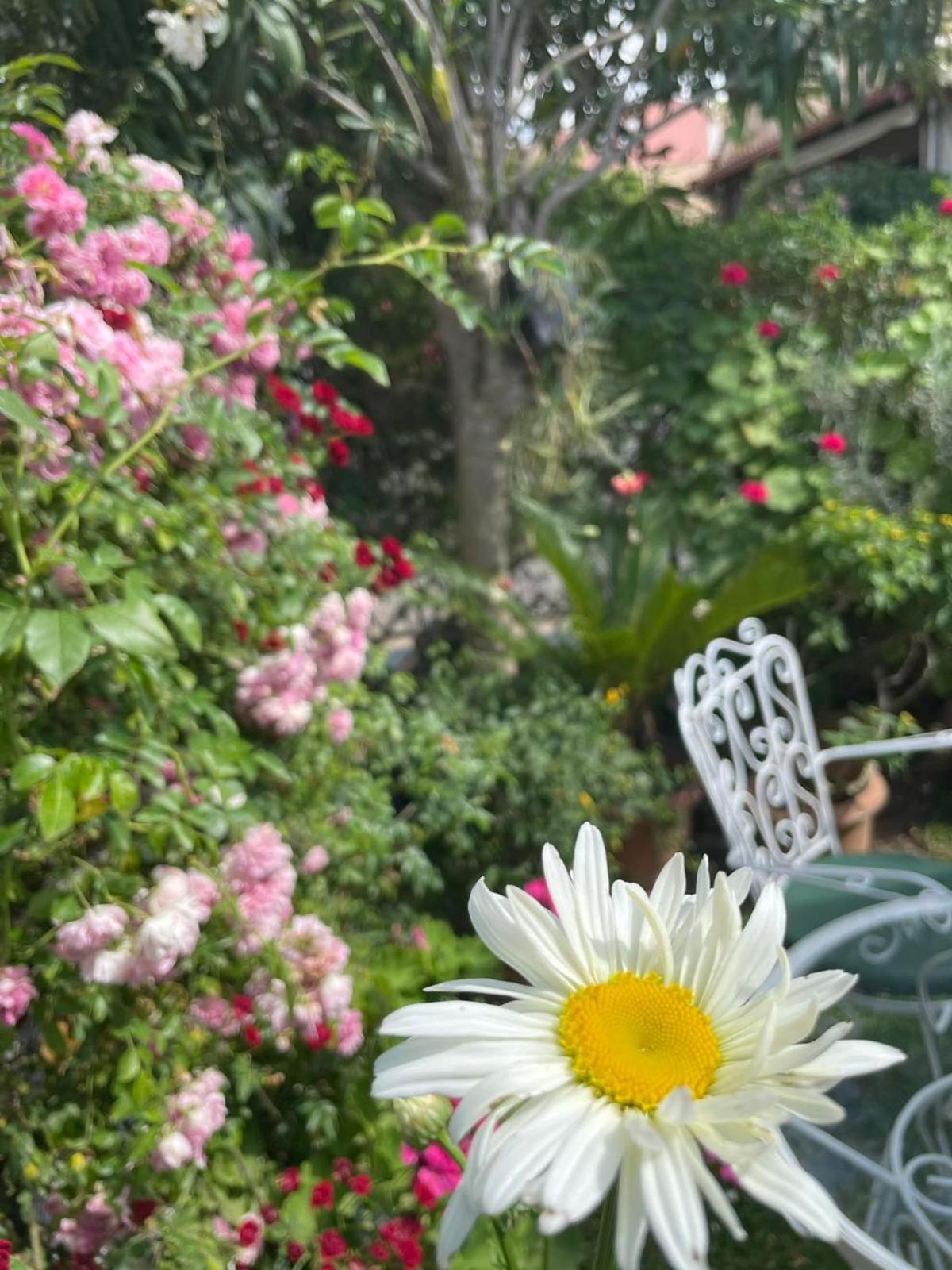 Villa Tina Country Beach Apartments Αχαράβη Δωμάτιο φωτογραφία