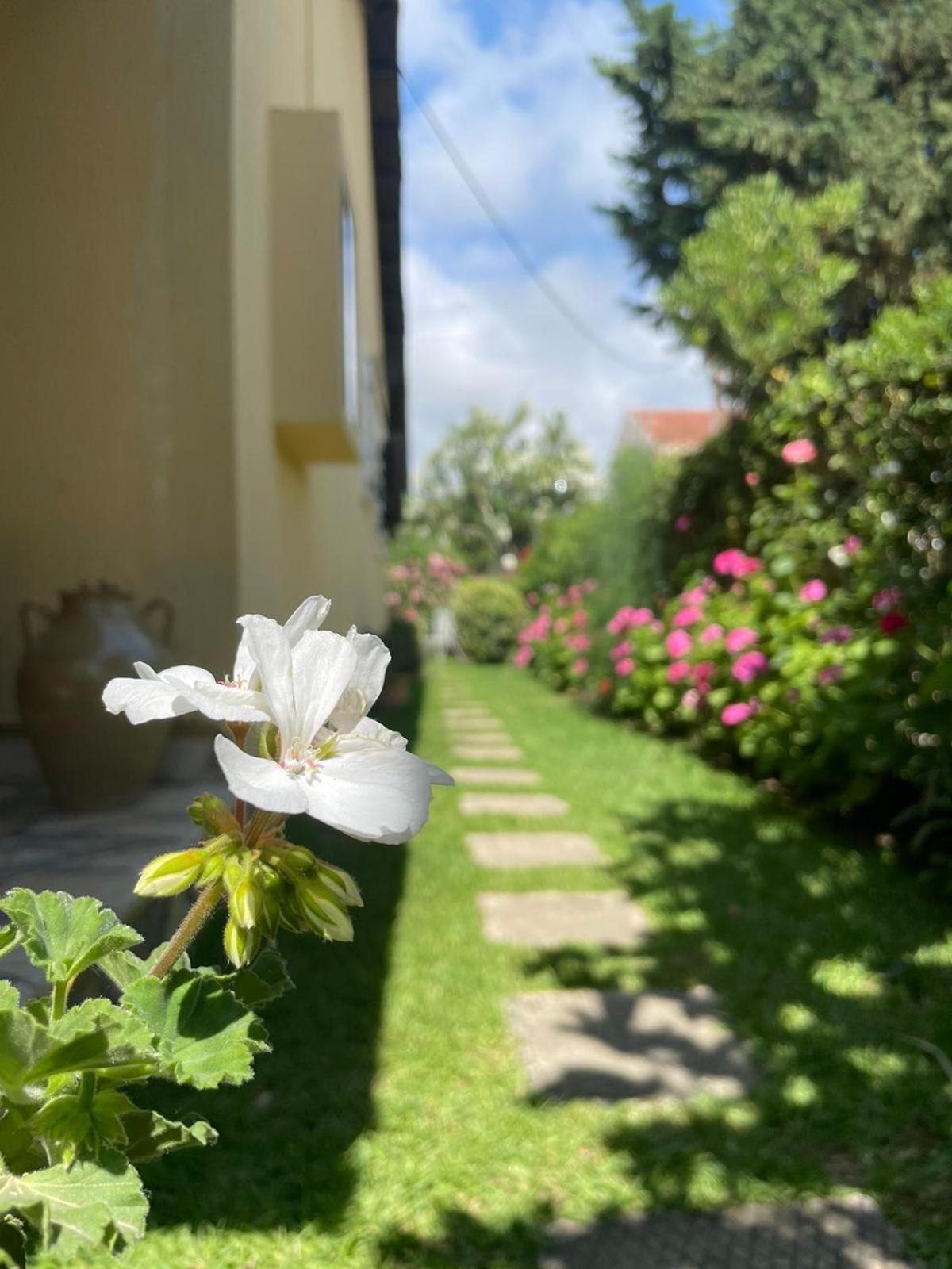 Villa Tina Country Beach Apartments Αχαράβη Δωμάτιο φωτογραφία
