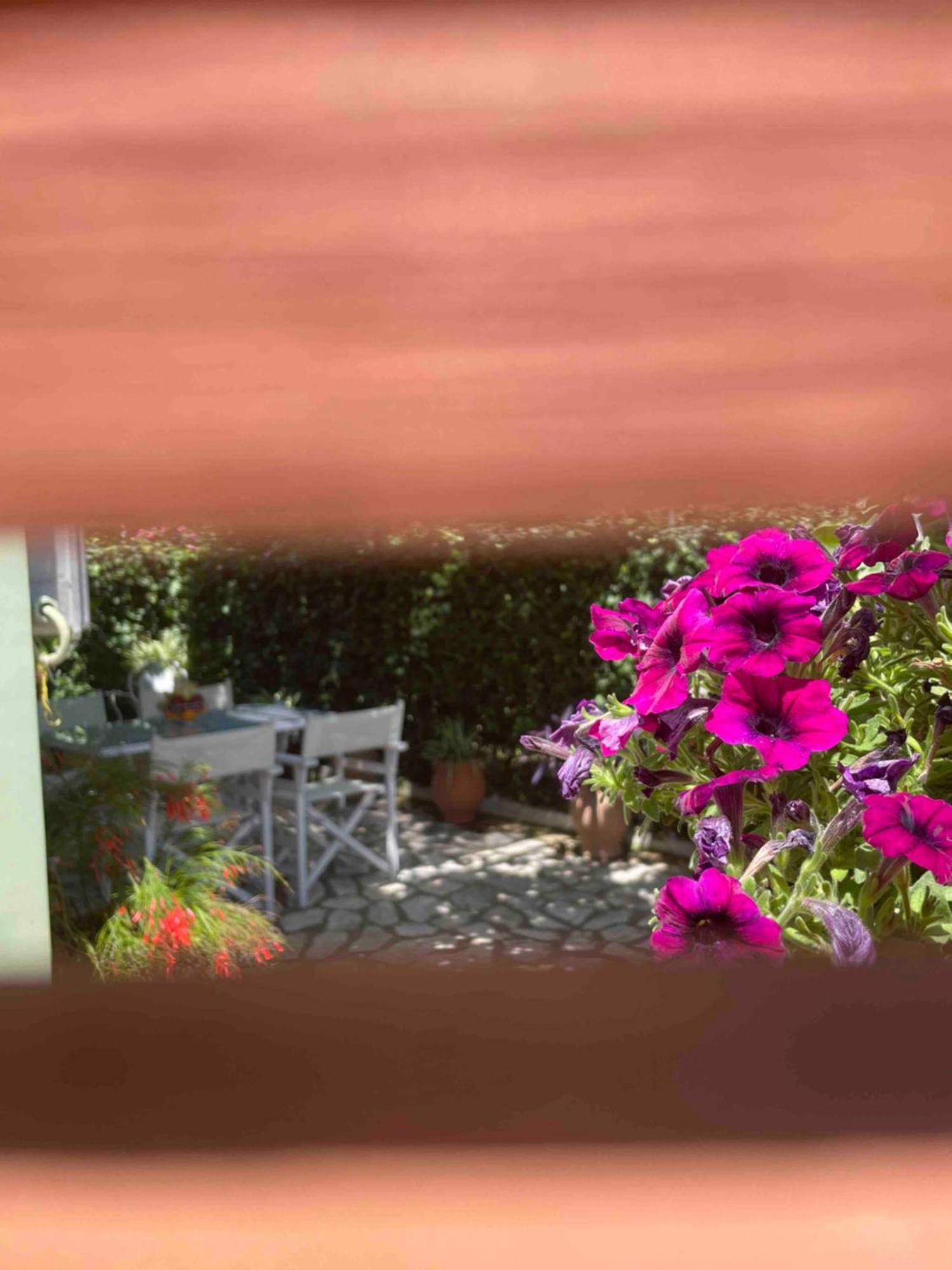 Villa Tina Country Beach Apartments Αχαράβη Δωμάτιο φωτογραφία