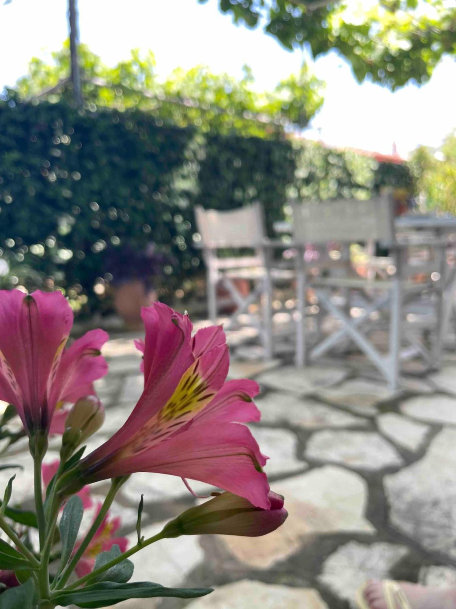 Villa Tina Country Beach Apartments Αχαράβη Δωμάτιο φωτογραφία